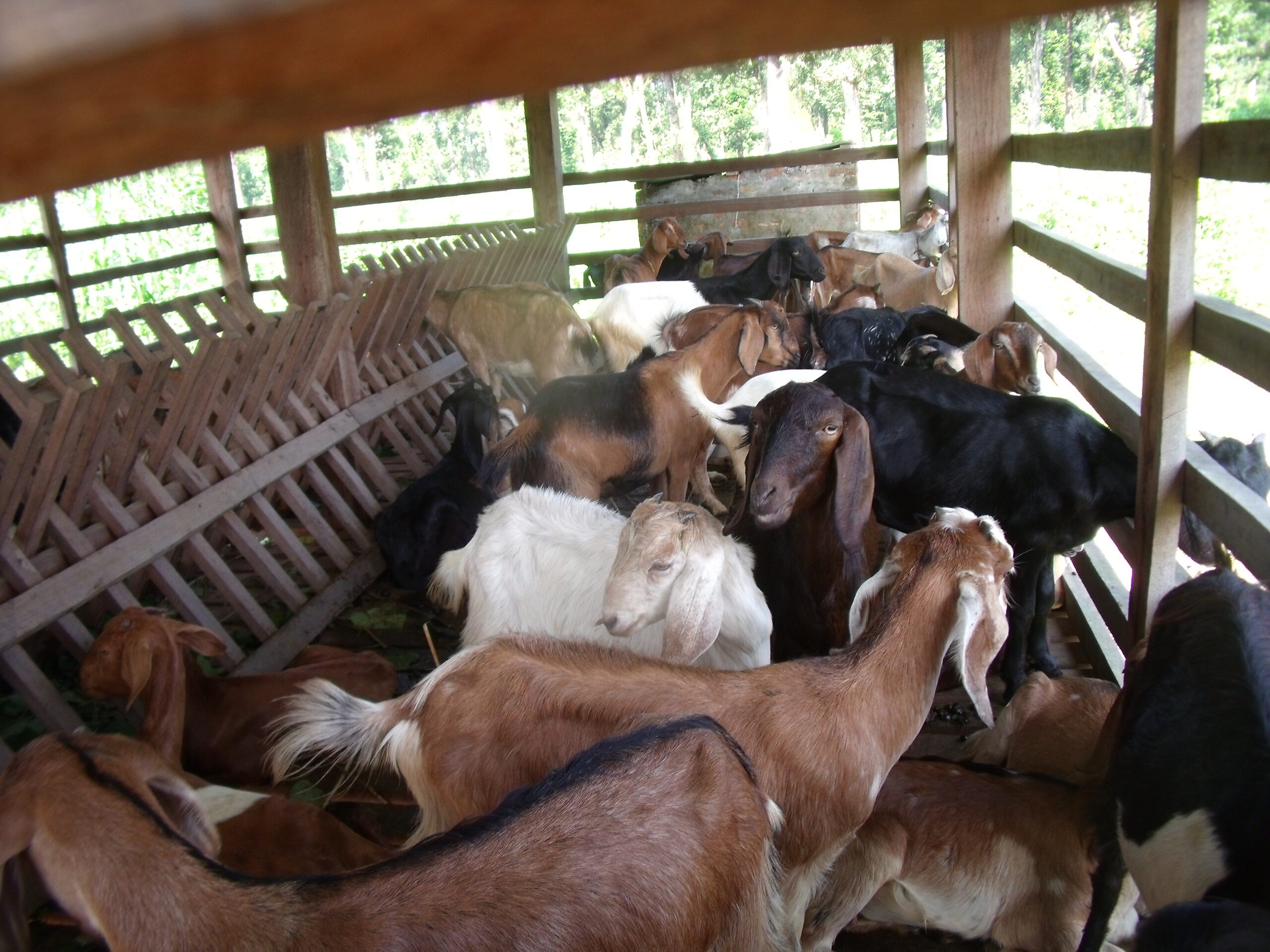 Chitwan – Livelihood Support for Drought-Affected Families