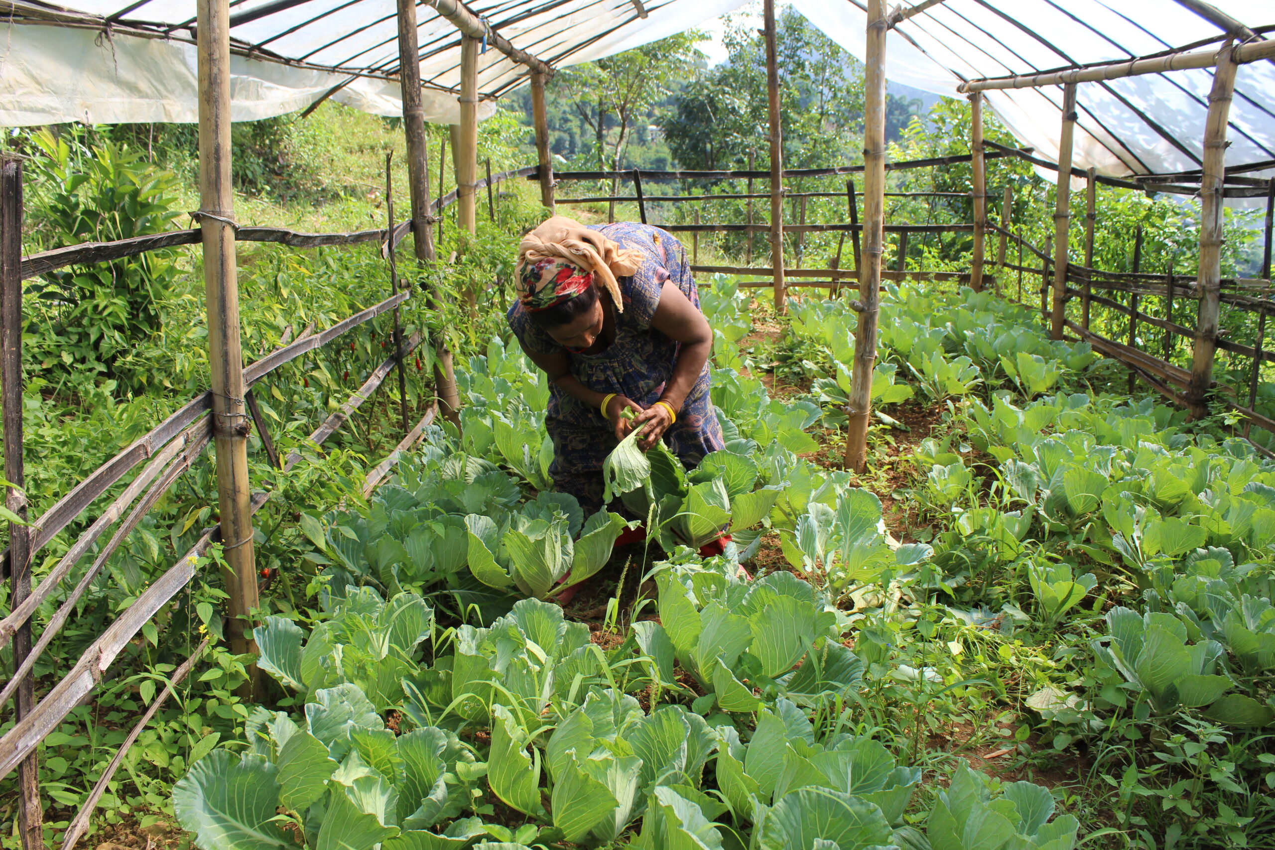 Completion of 3 Yrs Project of SPC- Triveni, Rukum West (CDSL with Wash & DRR)